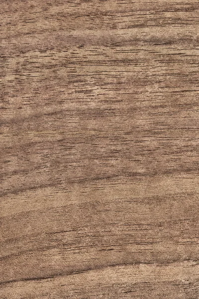 Muestra de textura Grunge de chapa de madera de nogal —  Fotos de Stock