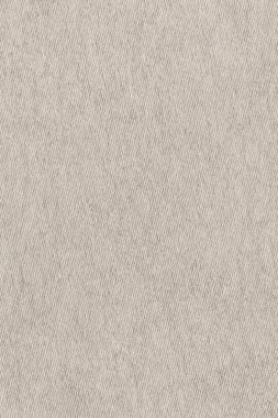 Pastel kağıt bej çizgili kaba benekli Grunge doku örneği