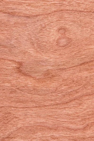 Vzorek textury Grunge dřevo dýha třešeň — Stock fotografie