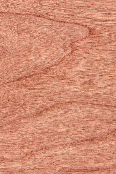 Образец текстуры вишневого дерева
