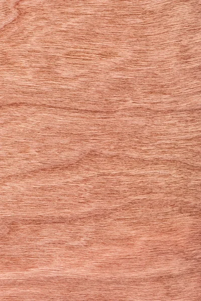 桜ウッド突き板グランジ テクスチャのサンプル — ストック写真
