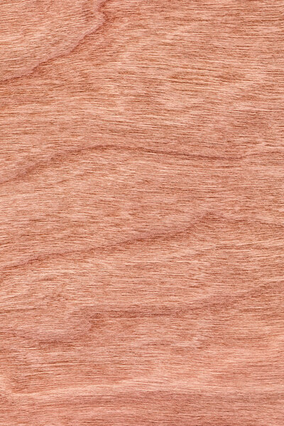 Образец текстуры вишневого дерева
