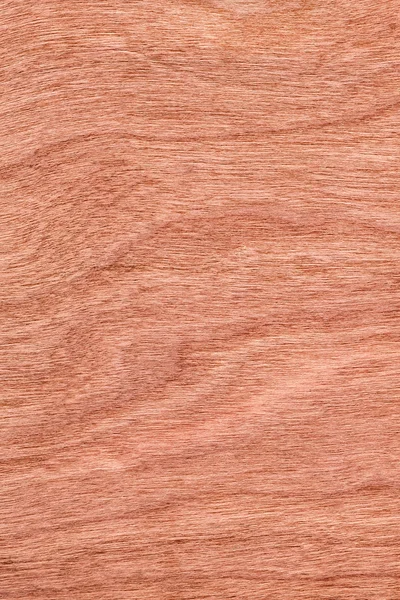 Muestra de textura Grunge de chapa de madera de cerezo —  Fotos de Stock