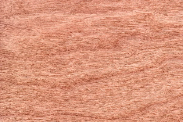 Amostra de textura Grunge de folheado de madeira de cereja — Fotografia de Stock