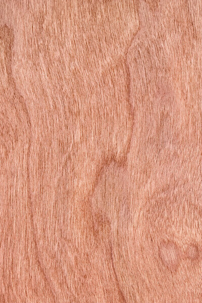 Образец текстуры вишневого дерева
