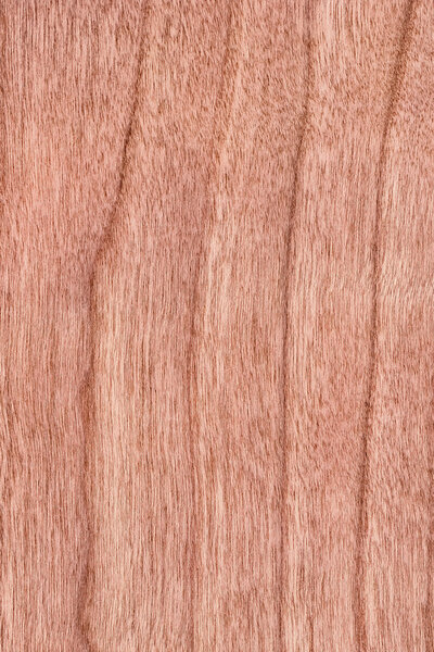 Образец текстуры вишневого дерева
