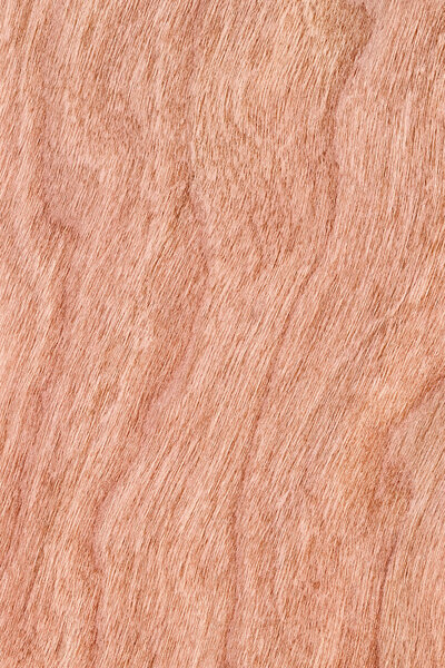 Образец текстуры вишневого дерева
