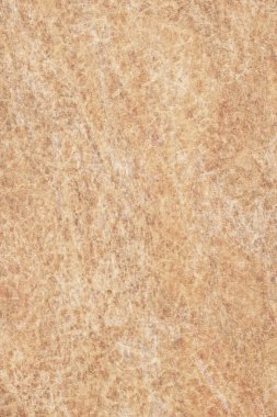 Antika hayvan deri parşömen Grunge doku örneği