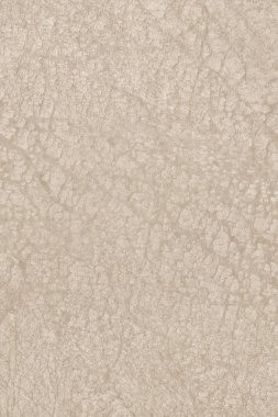 Antika hayvan deri parşömen Grunge doku örneği