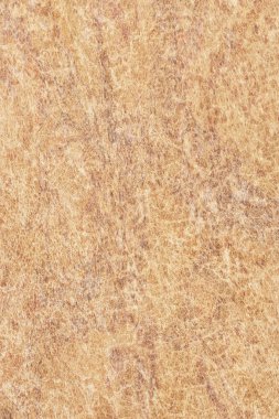 Antika hayvan deri parşömen Grunge doku örneği