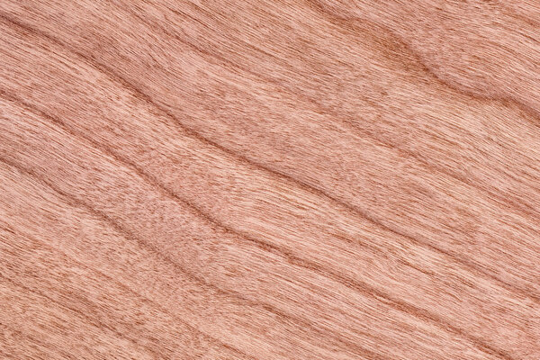 Образец текстуры вишневого дерева
