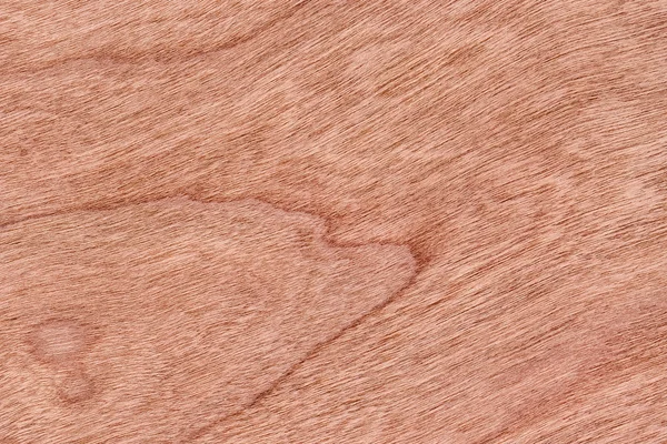 Вишневий дерев'яний шпон Гранд текстурний зразок — стокове фото