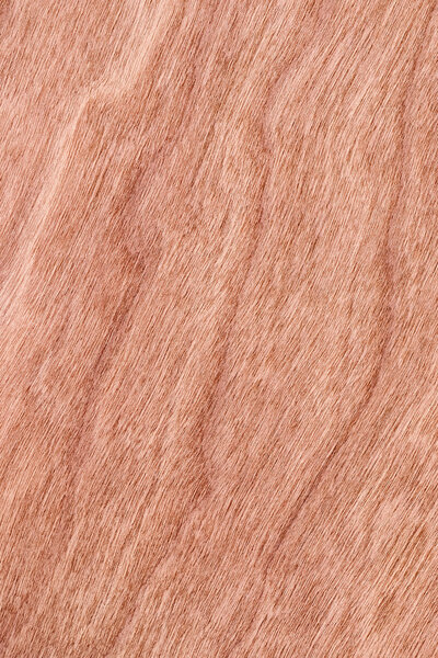 Образец текстуры вишневого дерева
