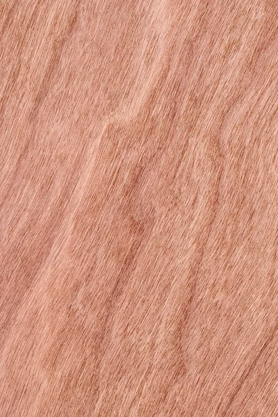 Amostra de textura Grunge de folheado de madeira de cereja — Fotografia de Stock