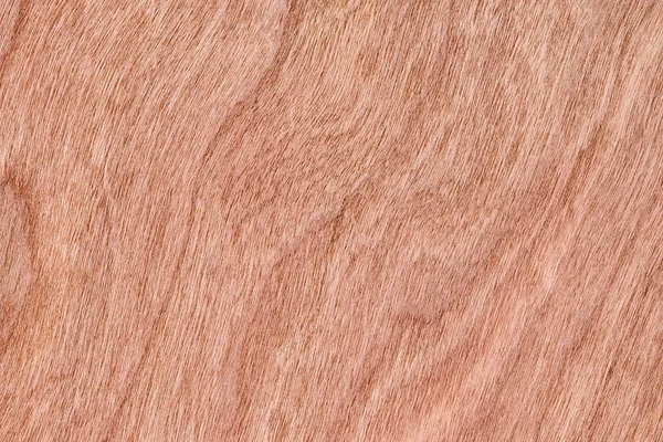 Cherry Wood Veneer Grunge Texture Sample — Stock Photo, Image