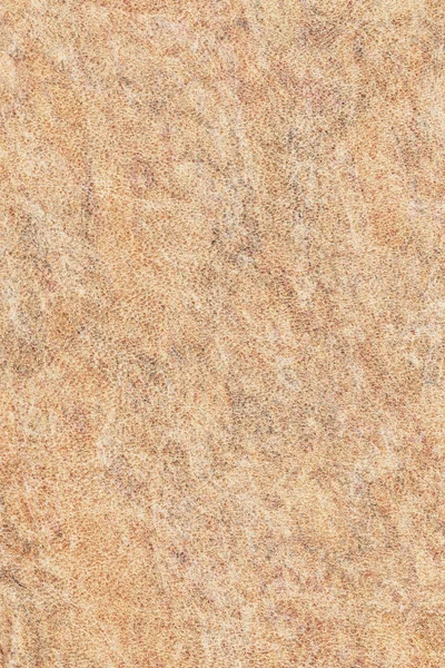 Antique Animal Skin Vellum Grunge Texture Sample — Stock Photo, Image