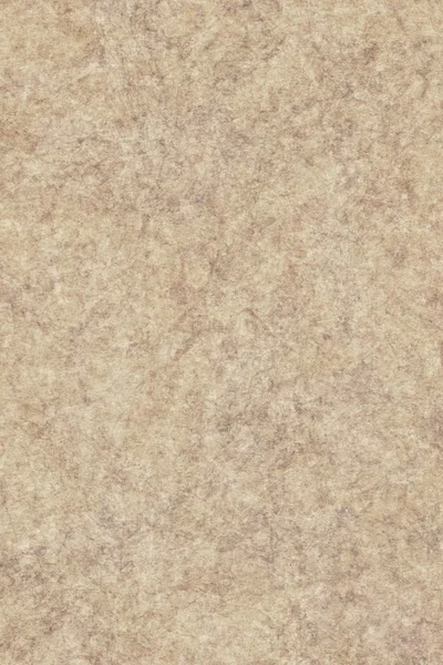 Recycle Antique Beige Paper Vellum Bleached Mottled Coarse Grunge Texture — Stock Photo, Image