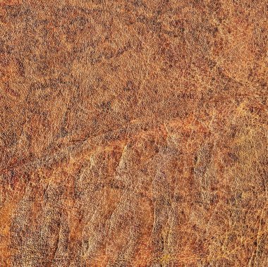 Pullu buruşuk Grunge doku örneği eski inek derisi buruşmuş