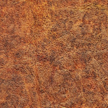 Pullu buruşuk Grunge doku örneği eski inek derisi buruşmuş