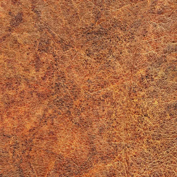 Старої коров'ячої креольської відшліфованої крихкої текстури гранж зразок — стокове фото