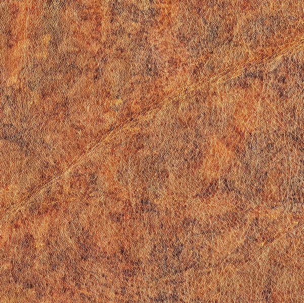 Old Weathered Cowhide Creased Exfoliated Crumpled Grunge Texture Sample — 스톡 사진