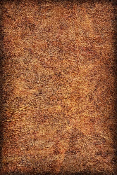 Old Cowhide Creased Exfoliated Vignette Grunge Texture — Stock Photo, Image