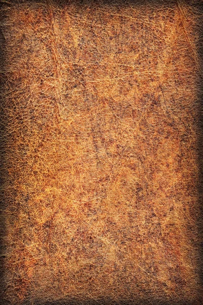 Oude koeienhuid gevouwen geëxpandeerd vignet Grunge textuur — Stockfoto