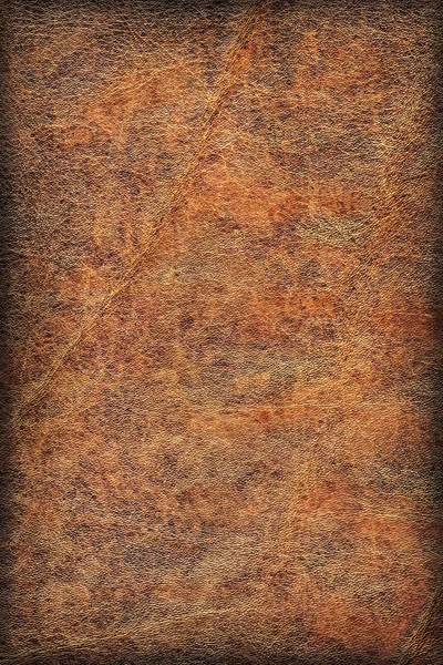 Vieja piel de vaca arrugado exfoliado viñeta grunge textura — Foto de Stock