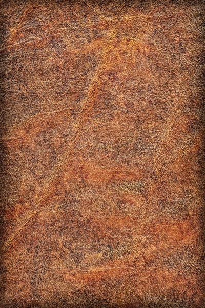 Vieille Vignette Exfoliée Plissée Peau de Vachette Texture Grunge — Photo