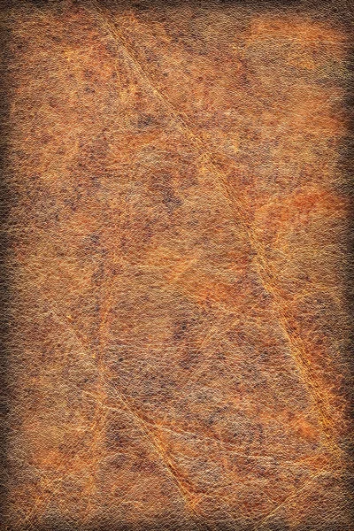 Vieja piel de vaca arrugado exfoliado viñeta grunge textura — Foto de Stock