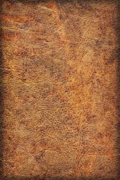 Velho couro vinheta esfoliada vinheta vincada grunge textura — Fotografia de Stock