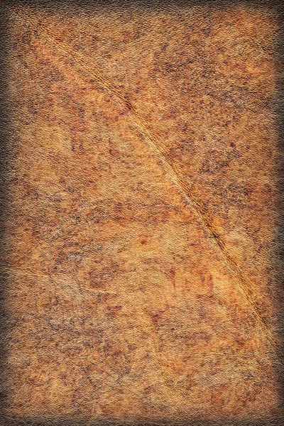 Old Cowhide Creased Exfoliated Crumpled Vignette Grunge Texture Sample — Stock Photo, Image