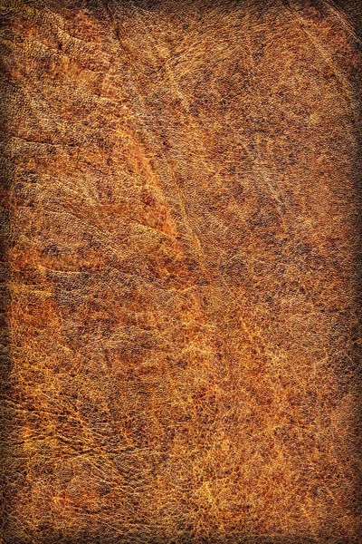 Skóra bydlęca stara pognieciony eksfoliowanego zmięty winieta Grunge tekstury próbki — Zdjęcie stockowe