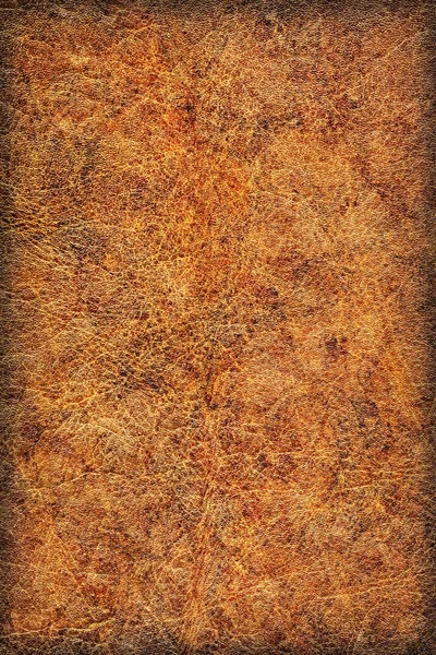 Pullu buruşuk Vignette Grunge doku örneği eski inek derisi buruşmuş — Stok fotoğraf