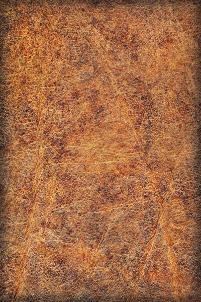 Oude koeienhuid gevouwen geëxpandeerd vignet Grunge textuur — Stockfoto