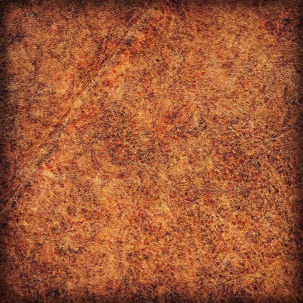 Old Weathered Cowhide Creased Exfoliated Vignette Mottled Grunge Texture — Stock Photo, Image