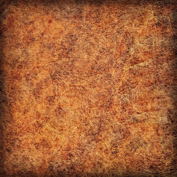 Viejo Natural Brown Cowhide Creasy Vignette gruesa Grunge Texture Sample — Foto de Stock