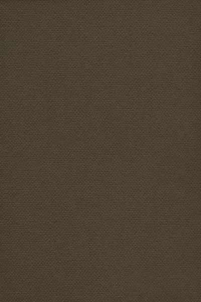 Recycle Pastel Paper Dark Olive Green Coarse Grunge Texture — Stock Photo, Image