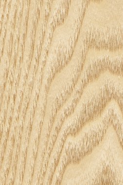 Akçaağaç ahşap kaplama Grunge doku örneği