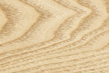 Akçaağaç ahşap kaplama Grunge doku örneği