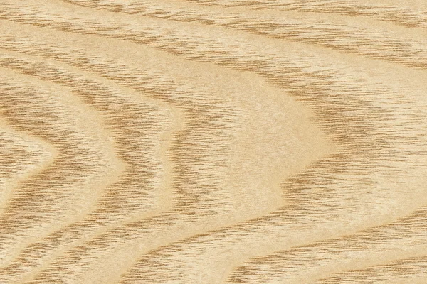 Akçaağaç ahşap kaplama Grunge doku örneği — Stok fotoğraf