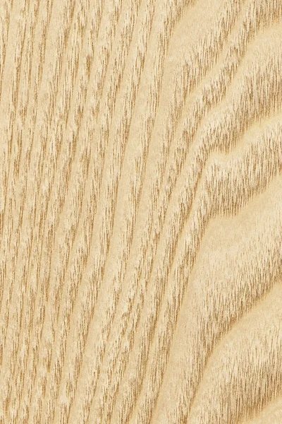 Образец текстуры гранжа из кленового дерева — стоковое фото