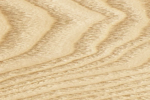 Ahornholz Furnier Grunge Textur Muster — Stockfoto