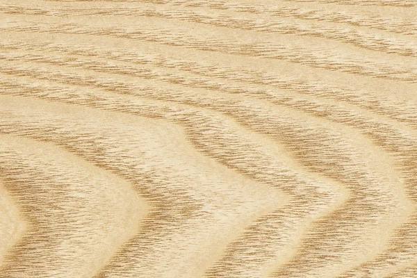 Muestra de textura de grunge de chapa de madera de arce — Foto de Stock