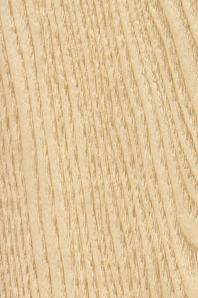 Maple Wood Veneer Grunge TMaple Wood Veneer, Yellow Ocher, Grunge Texture Sample.exture Sample — Stock Photo, Image