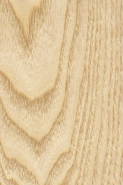 Maple Wood Veneer Grunge Texture Sample — Stock Photo, Image