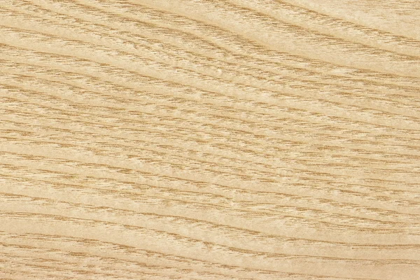 Échantillon de texture grunge de placage en bois d'érable — Photo