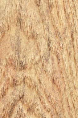 Akçaağaç ahşap kaplama ağartılmış Grunge doku örneği lekeli
