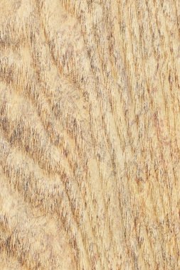 Akçaağaç ahşap kaplama ağartılmış Grunge doku örneği lekeli