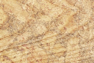 Akçaağaç ahşap kaplama ağartılmış Grunge doku örneği lekeli